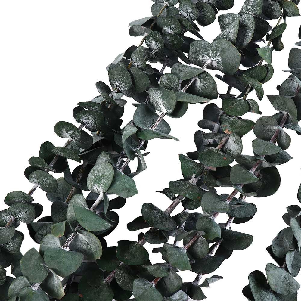 10 Pcs Real Leaves Hanging Dri - огляд і ціна Eucalyptus Preserved