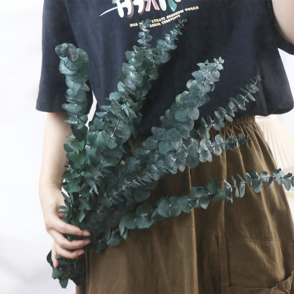 10 Pcs Real Leaves Hanging Dri - огляд і ціна Eucalyptus Preserved
