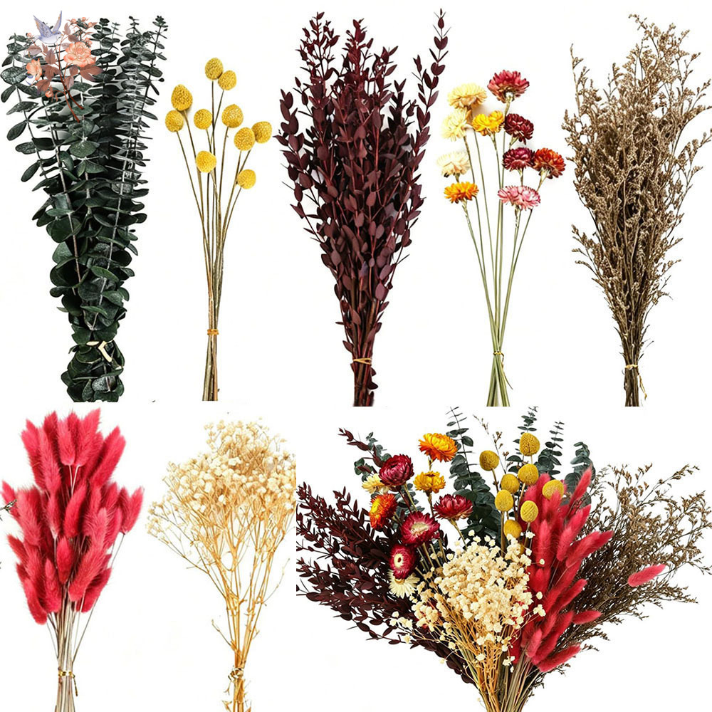 Dried Flowers Bulk Set 7 Kinds - огляд і ціна Florist Flower Supply
