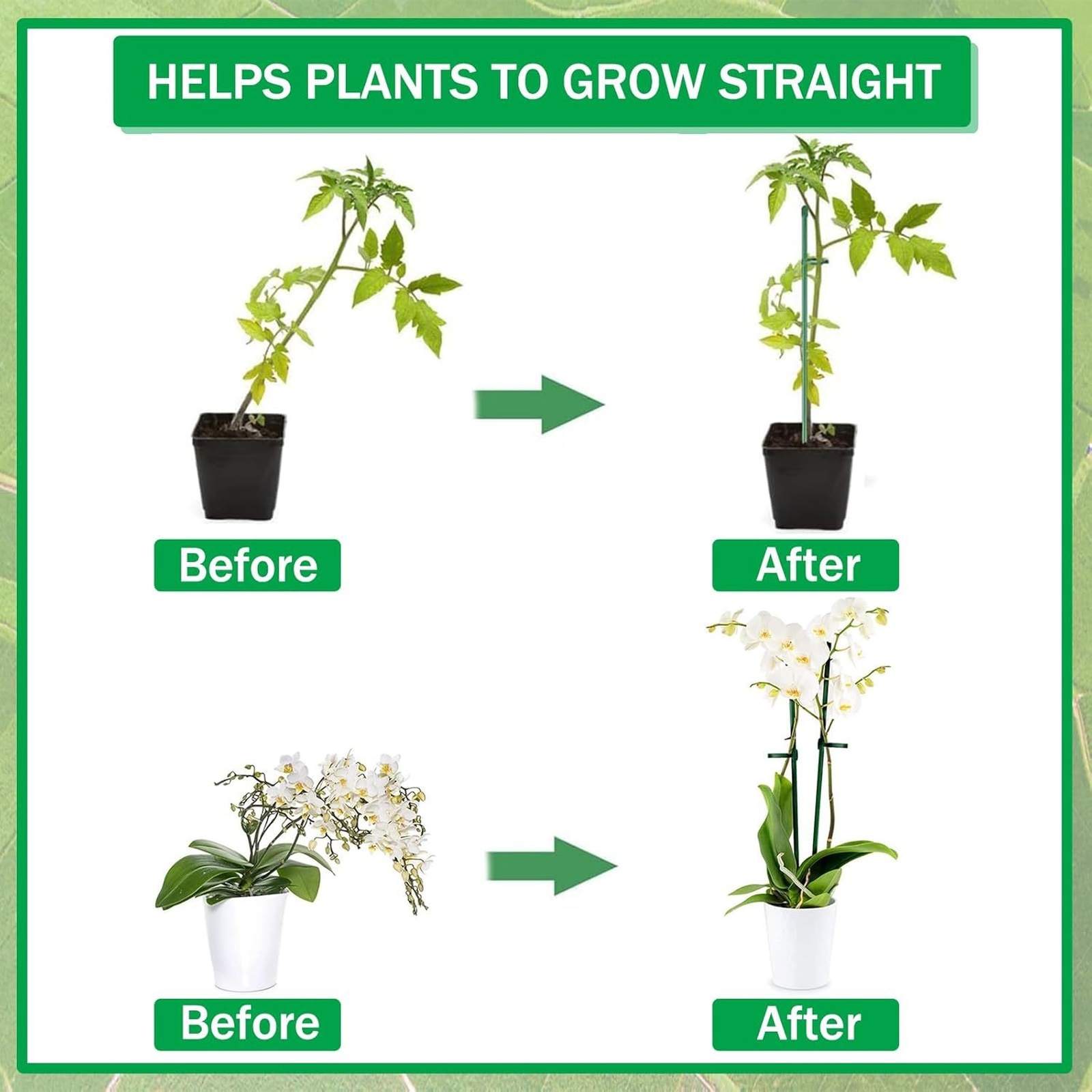 Plant Supports Rod Single Stem - огляд і ціна Florist Supply Bulk