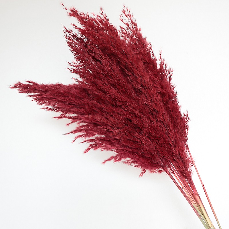 10Pcs Colorful Natural Reeds P - огляд і ціна Florist Supply Vases