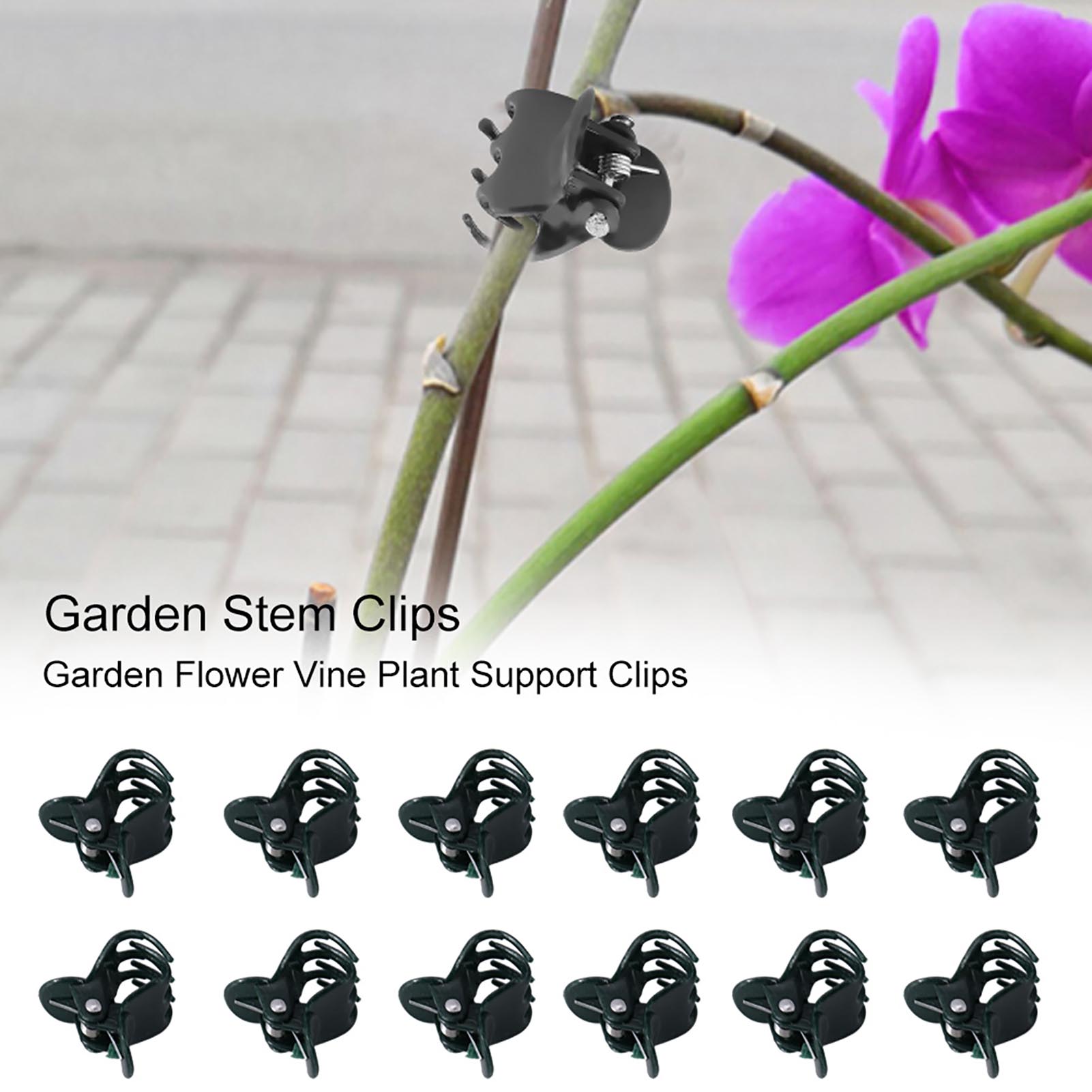 100pcs Mini Plant Clips Garden - огляд і ціна Florist Supply Bulk