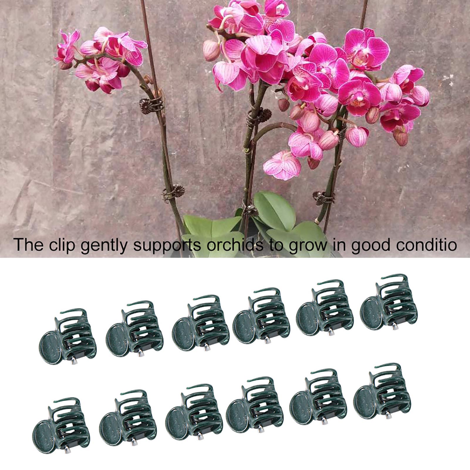 100pcs Mini Plant Clips Garden - огляд і ціна Florist Supply Bulk