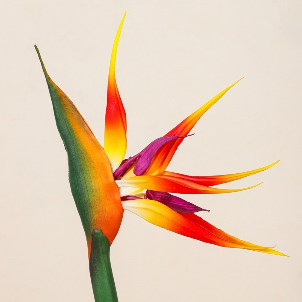 New Long Stem Artificial Bird  - огляд і ціна Florist Supply Bulk
